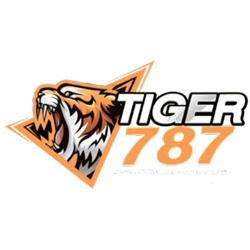 TIGER787 สล็อตเว็บตรง ทางเข้า สมัคร ฝากถอนออโต้